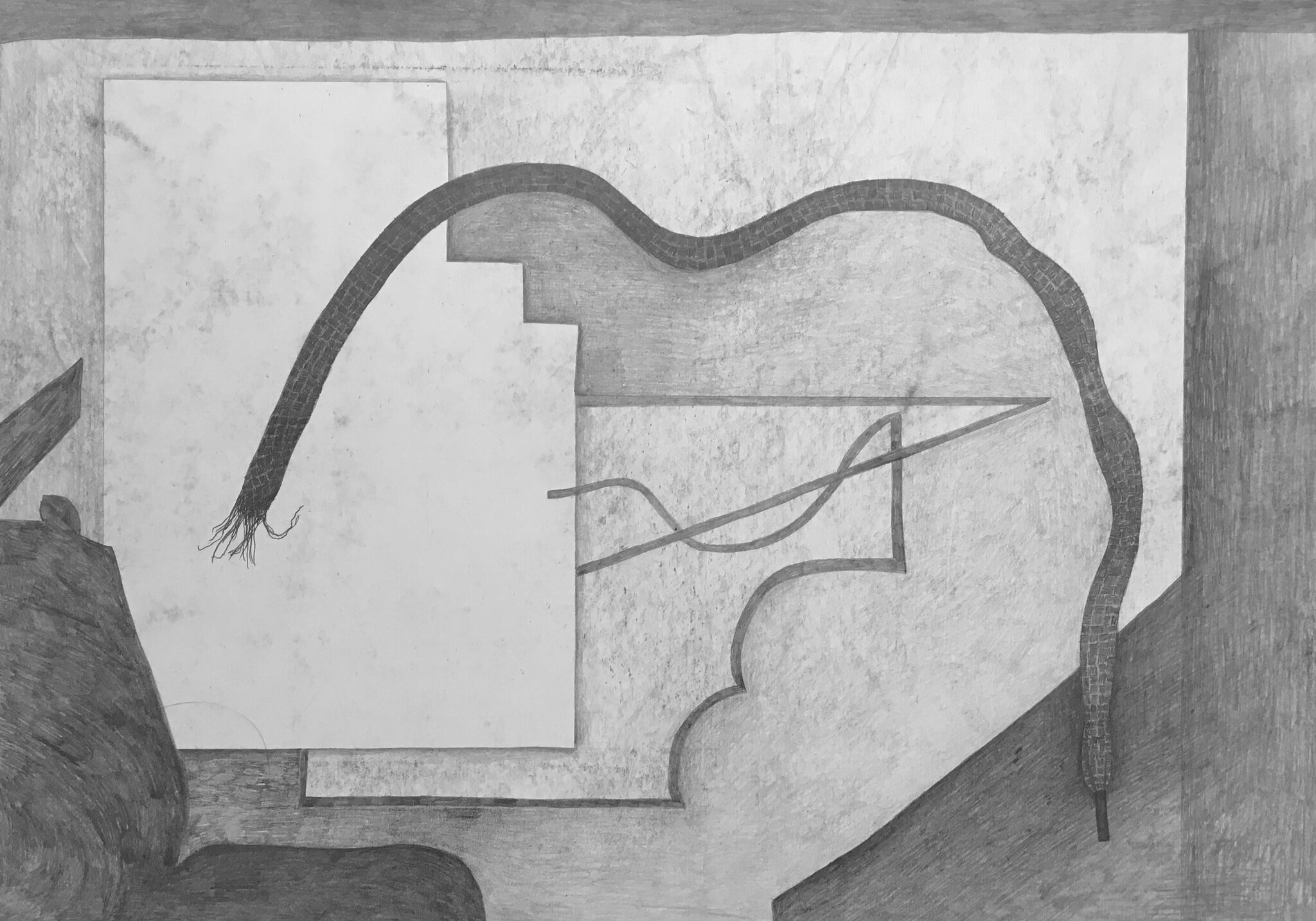 Shoelace, graphite on paper, 42x30cm  2024
