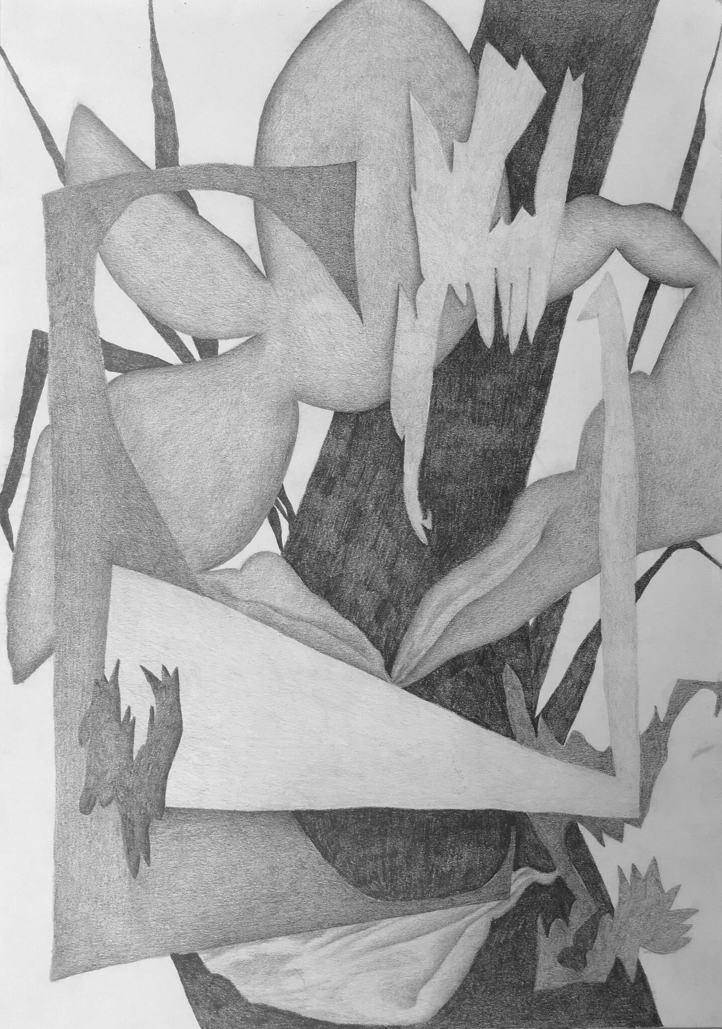 Cuts, graphite on paper, 42x30cm, 2017