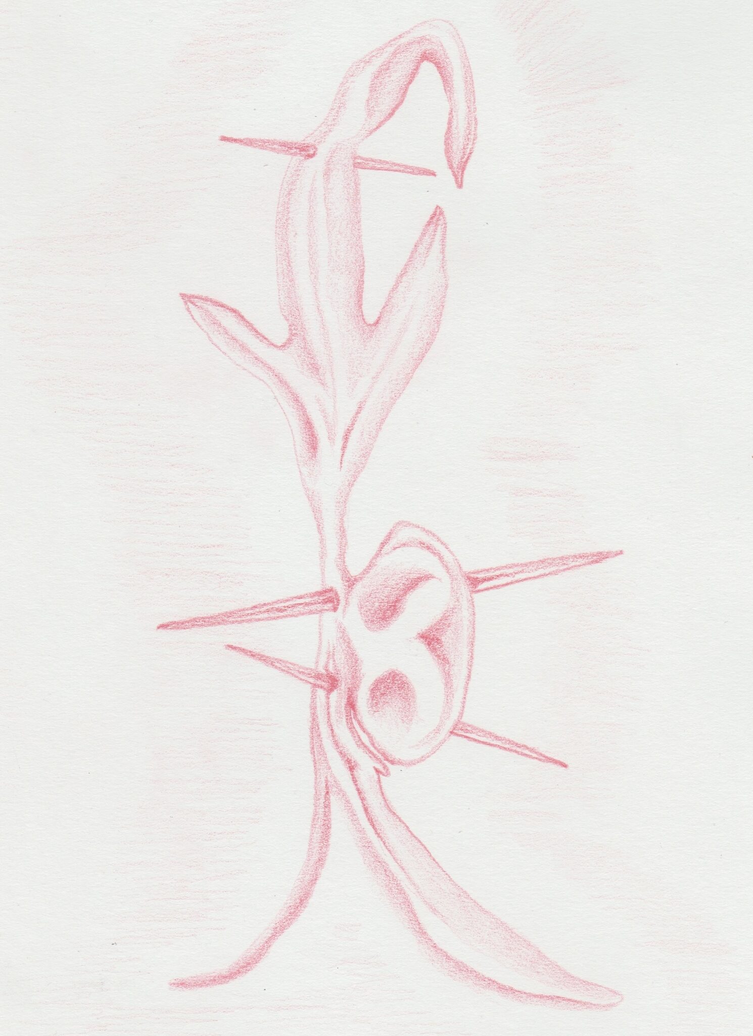Bent Presence II, colour pencil, 30x21cm, 2024