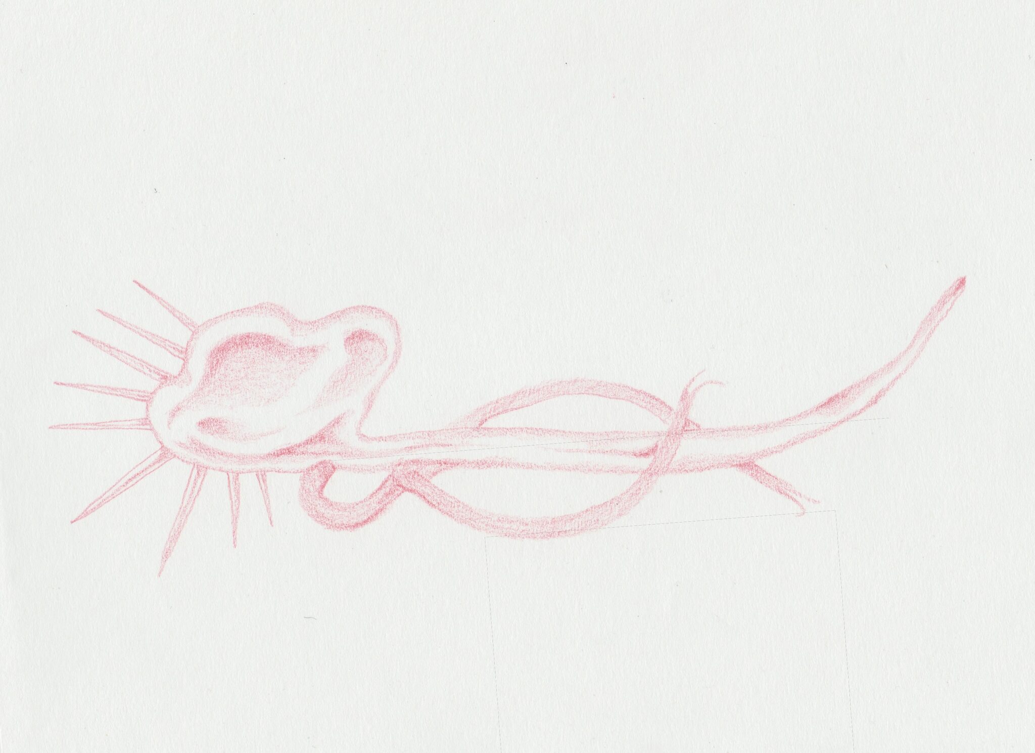 Bent Presence I, colour pencil on paper, 21x30cm, 2024